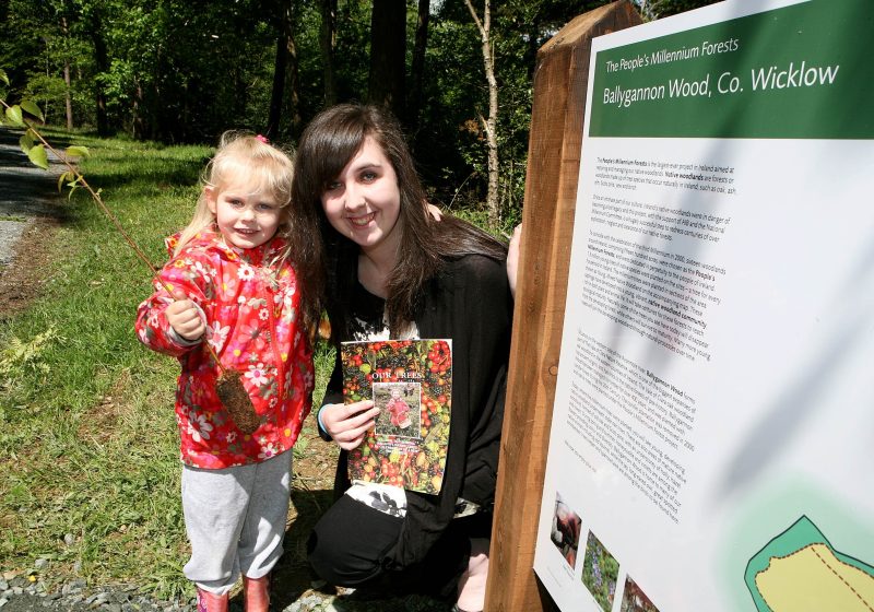 Bgannon sign(May28 11) The Millennium Forests Celebrating 10 Years 22nd May 2011: Guided walks took place today in a number of People's Millennium Forests country-wide to celebrate a decade of progress in the People's Millennium Forests Project. To coincide with the celebration of the Millennium in 2000, sixteen woodlands around Ireland, comprising fifteen hundred acres, were chosen as the People's Millennium Forests. 1.3 million young trees of native species were planted on the forest sites that were dedicated in perpetuity to the people of Ireland. The saplings that were planted in 2000 have now begun to enter the next stage of their development creating young, vibrant, native woodlands rich in both plant and animal life. The celebration of these forests today is timely given that is International Day for Biological Diversity. Photo Chris Bellew / Fennells